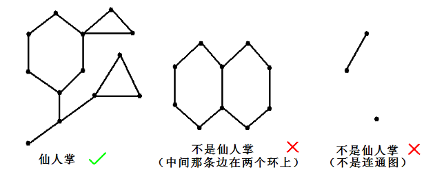 什么是仙人掌